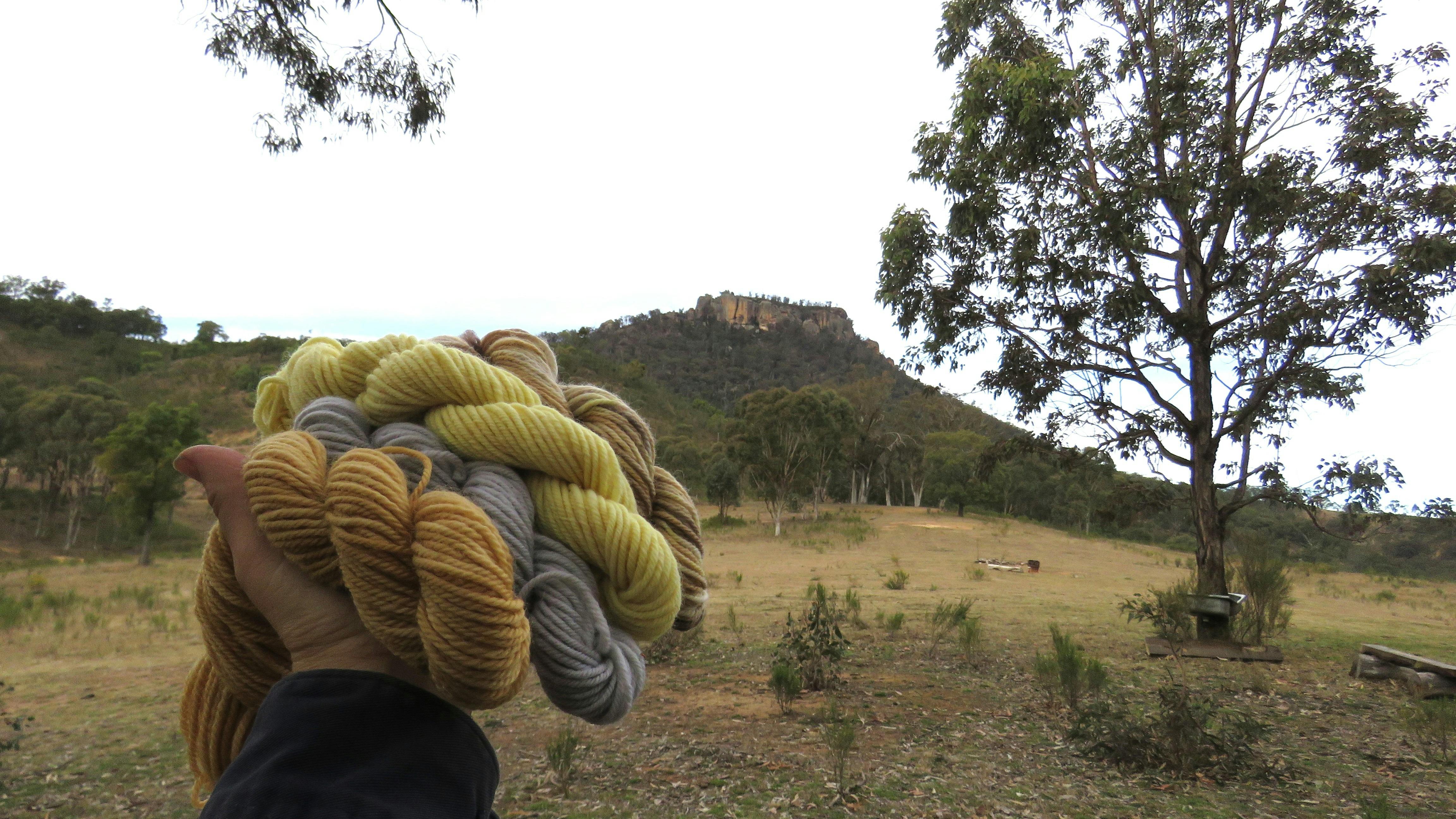 ウィリンビラ・エコ・ダイ・ワークショップ
