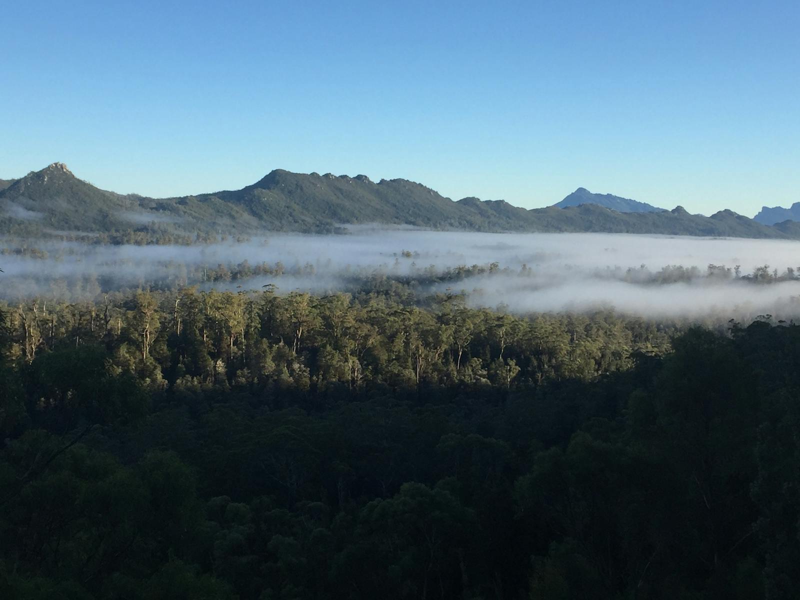 Westrern A fog