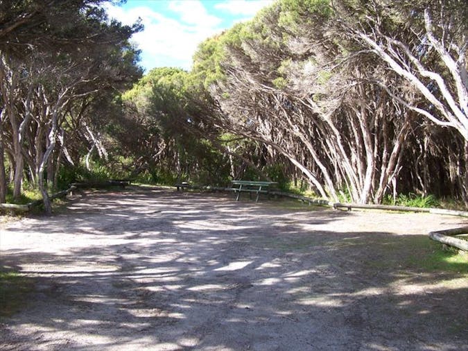 3 Mile Bend Campground Beachport Conservation Park