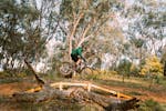 Mountain biker jumps over a bridge in Pomingalarna Reserve