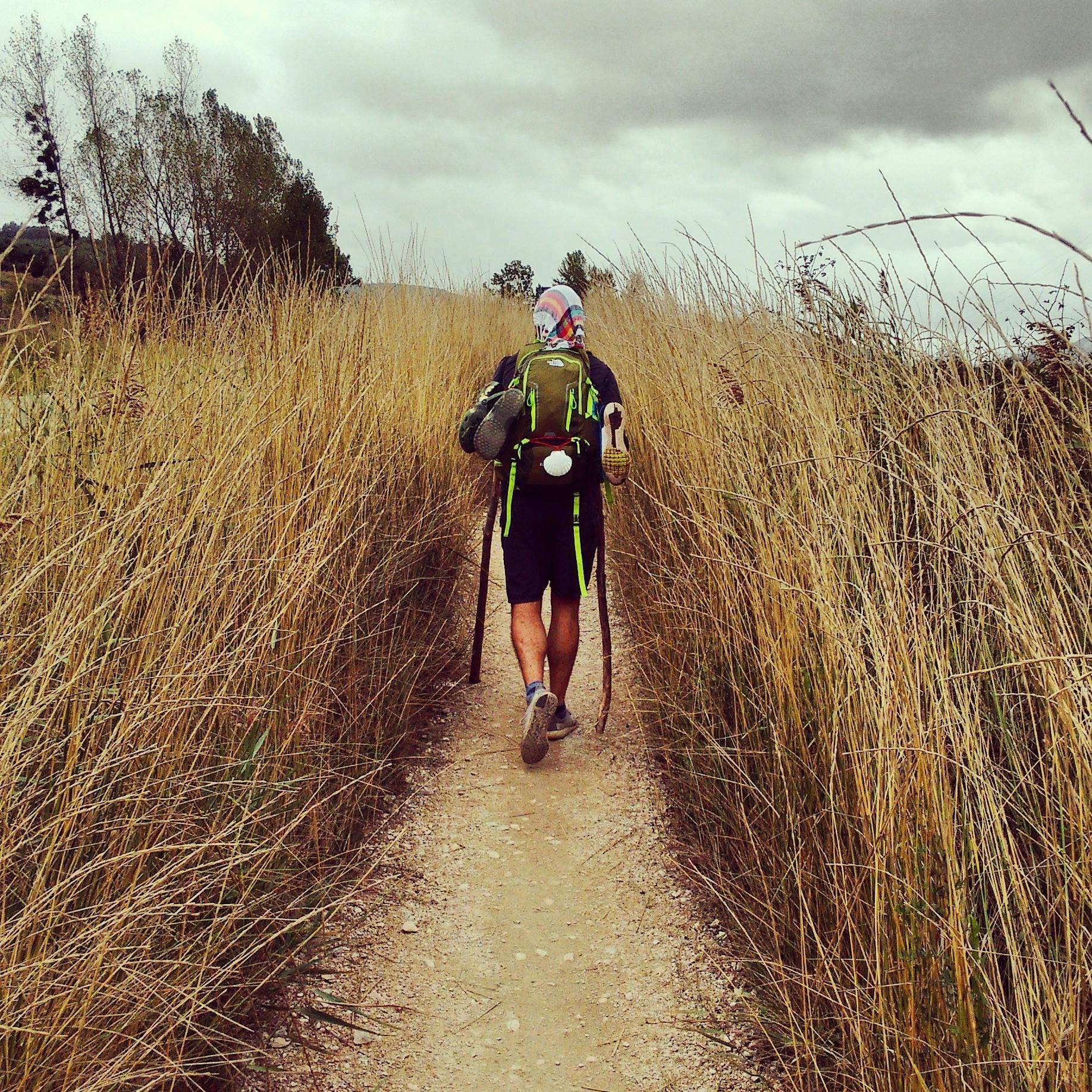 walking the Camino in the fields