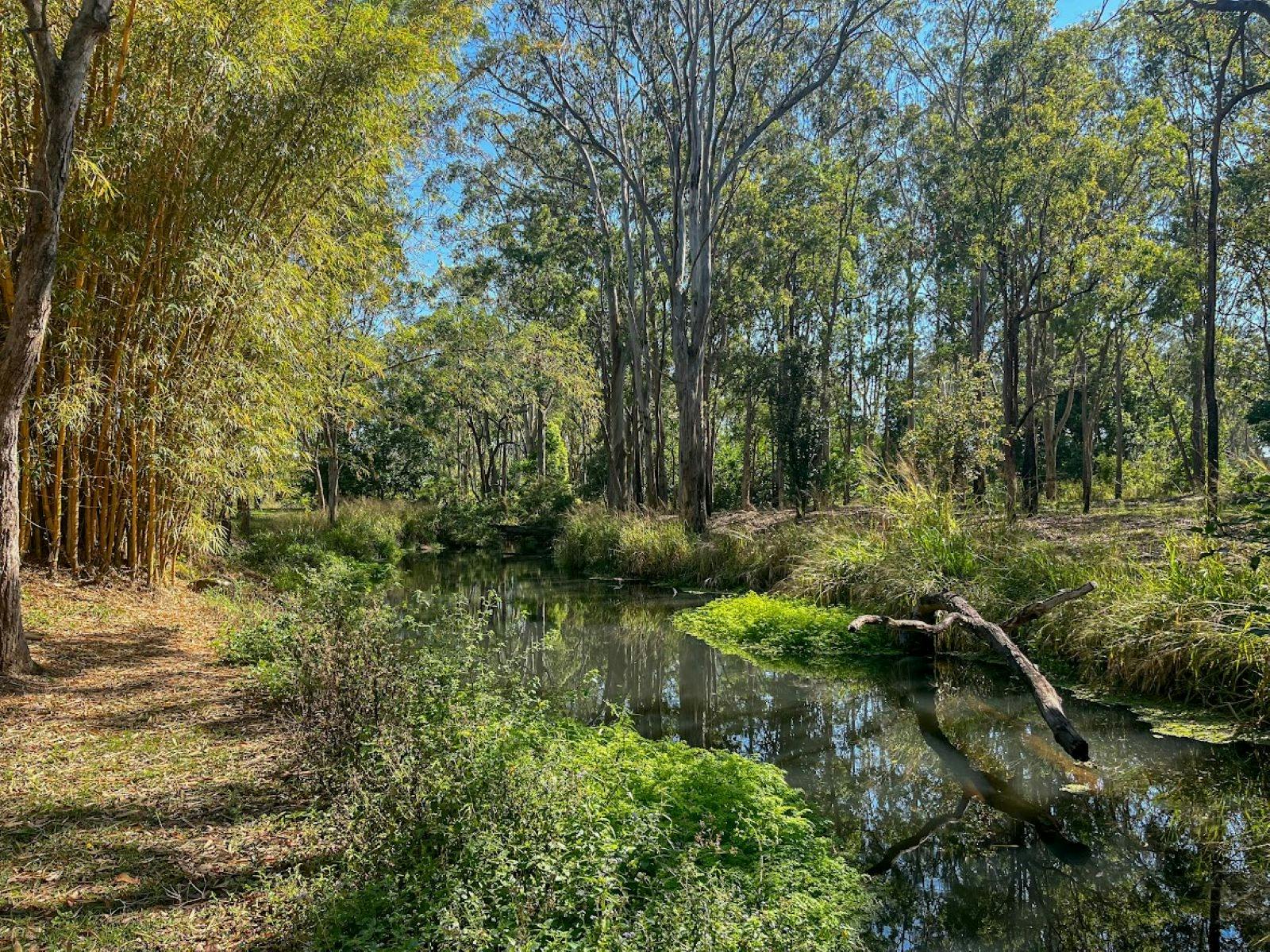 South Cedar Creek Tall Timbers Roadhouse