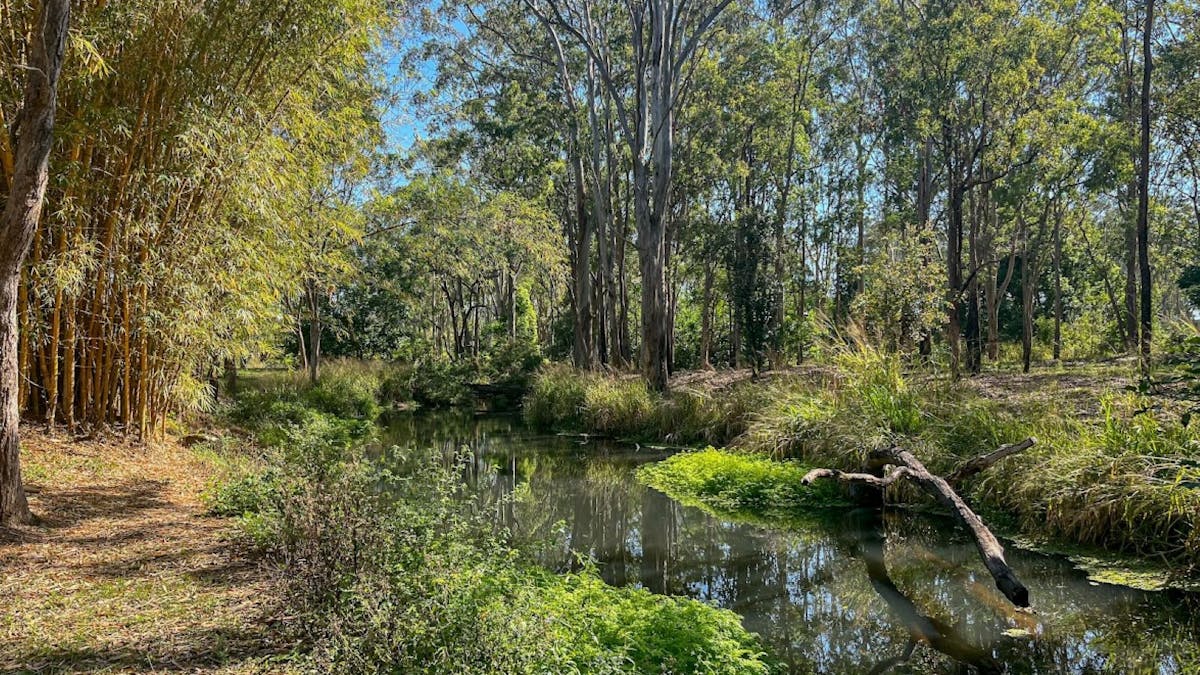 Creek at back of Tall Timbers - which as platypus swimming