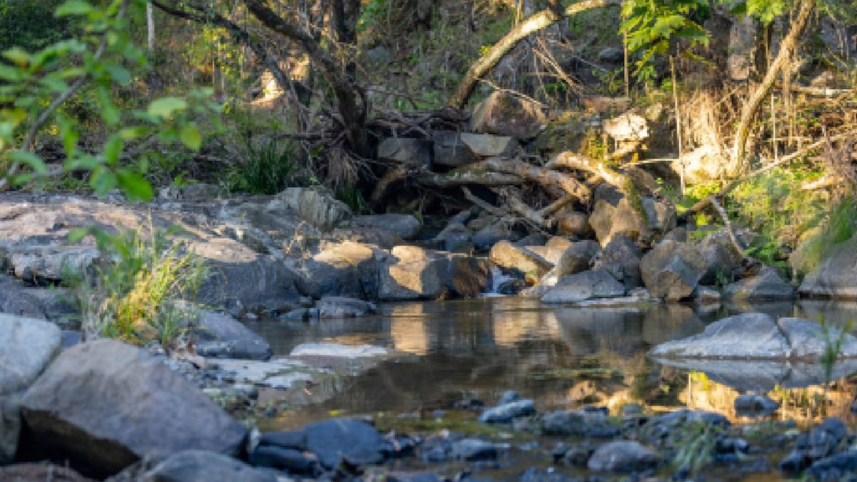 Creek at the front of the Cottage