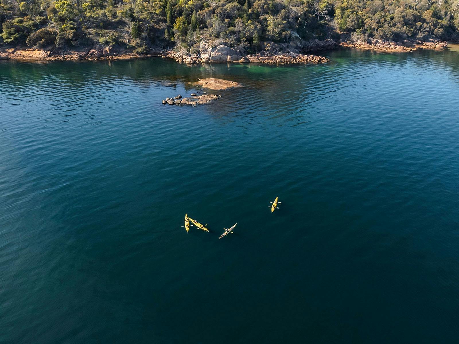 Freycinet Adventures kayak tour