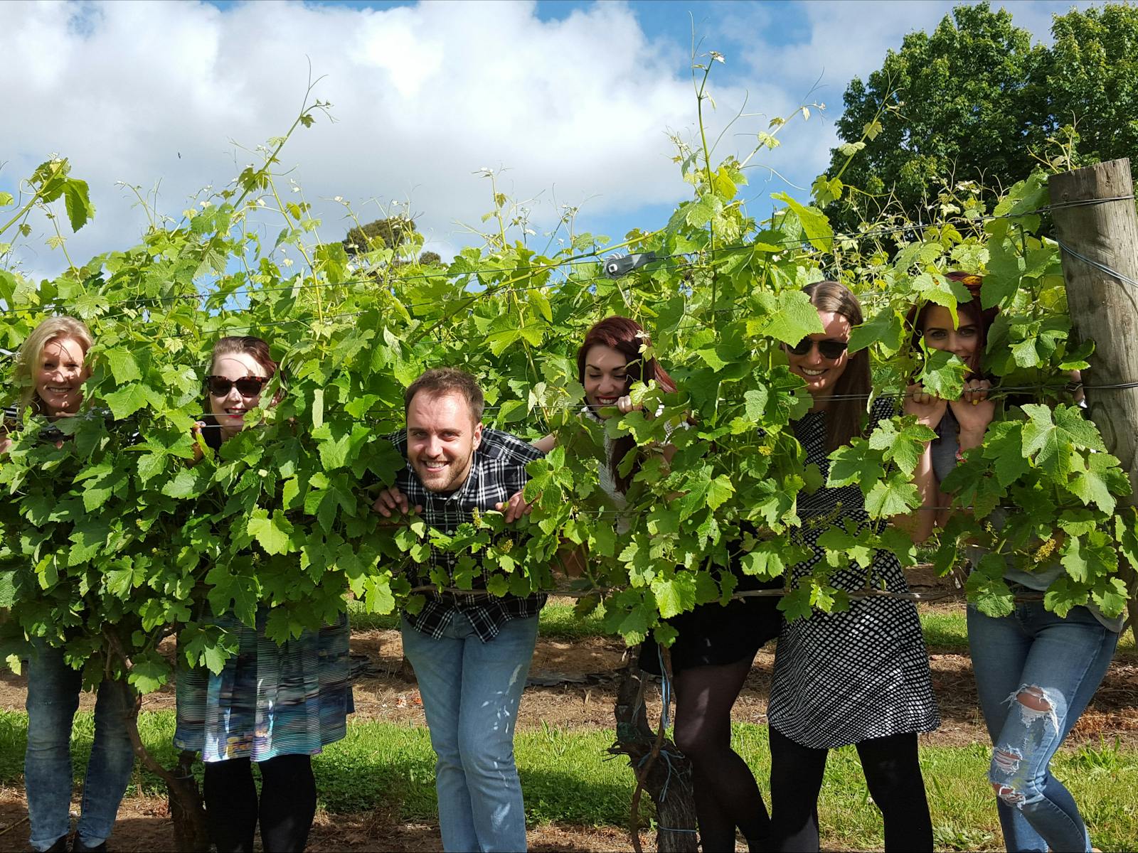 Grampians Wine Tour