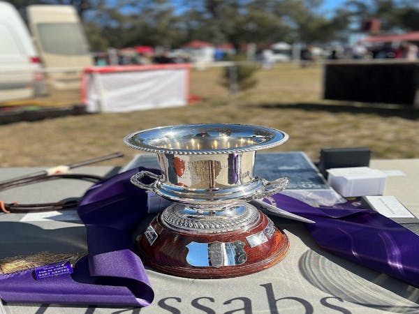 Wean Picnic Races