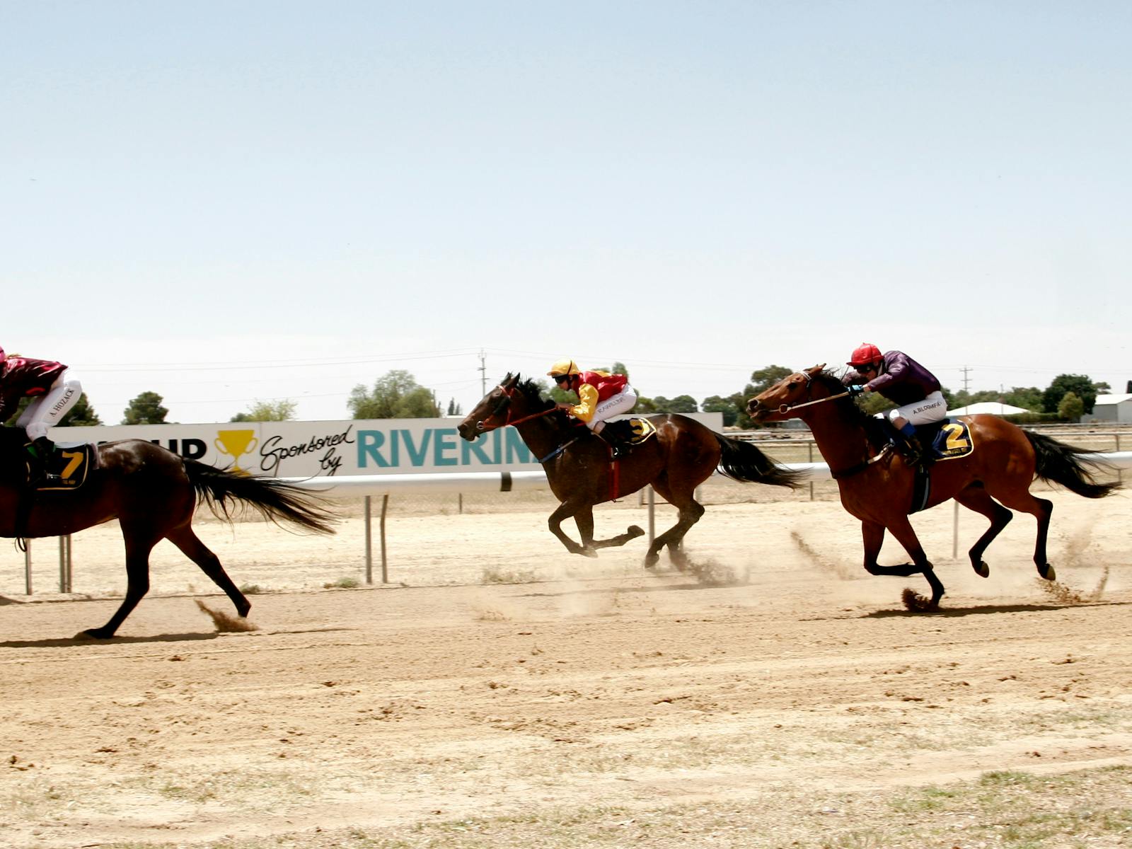 Image for Carrathool Races