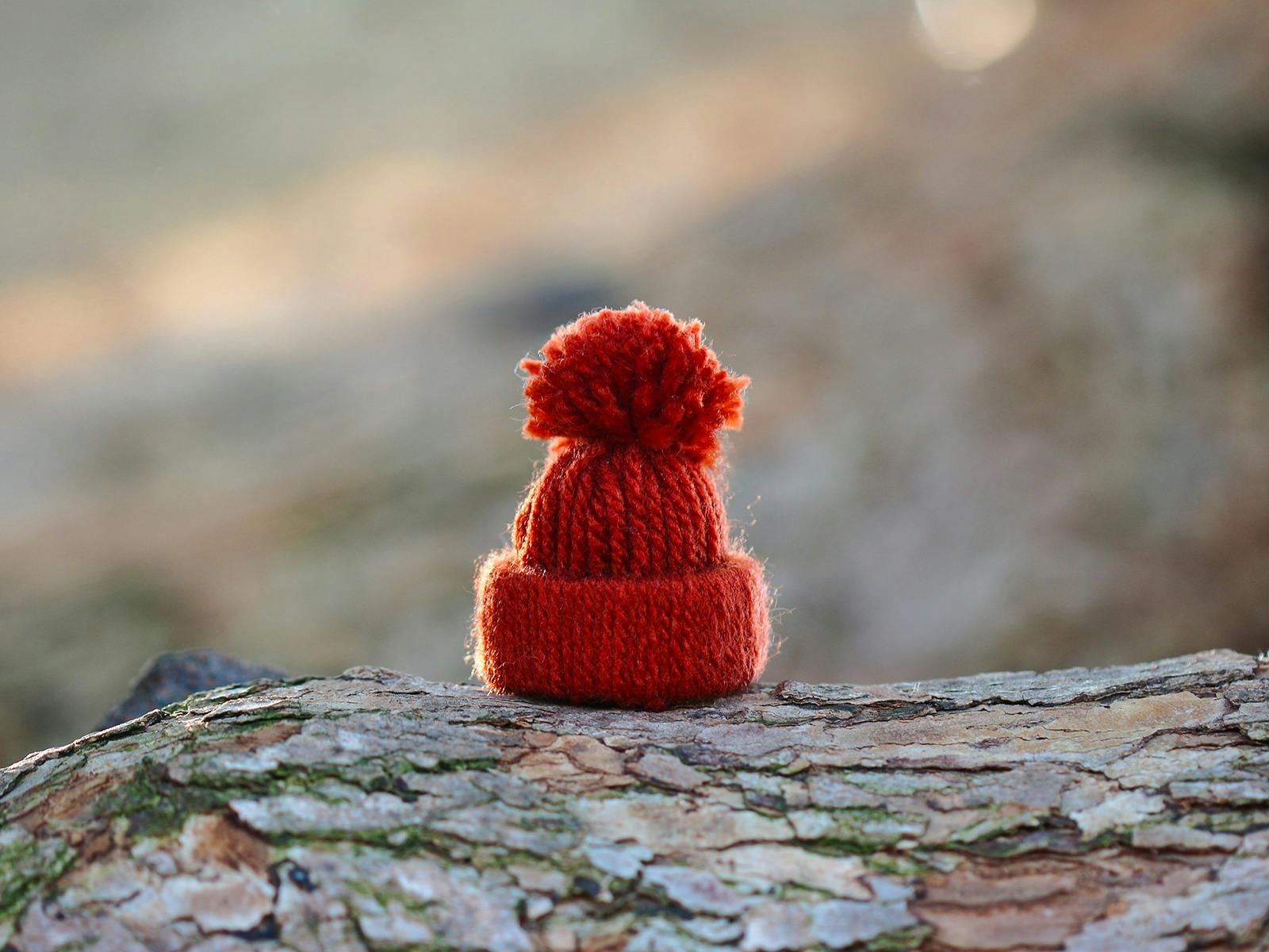 A thumb size handmade woollen beanie sits on a rough timber branch.