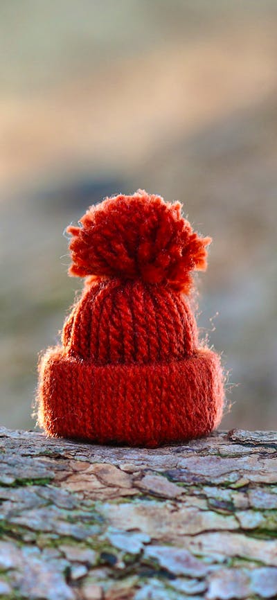 A thumb size handmade woollen beanie sits on a rough timber branch.