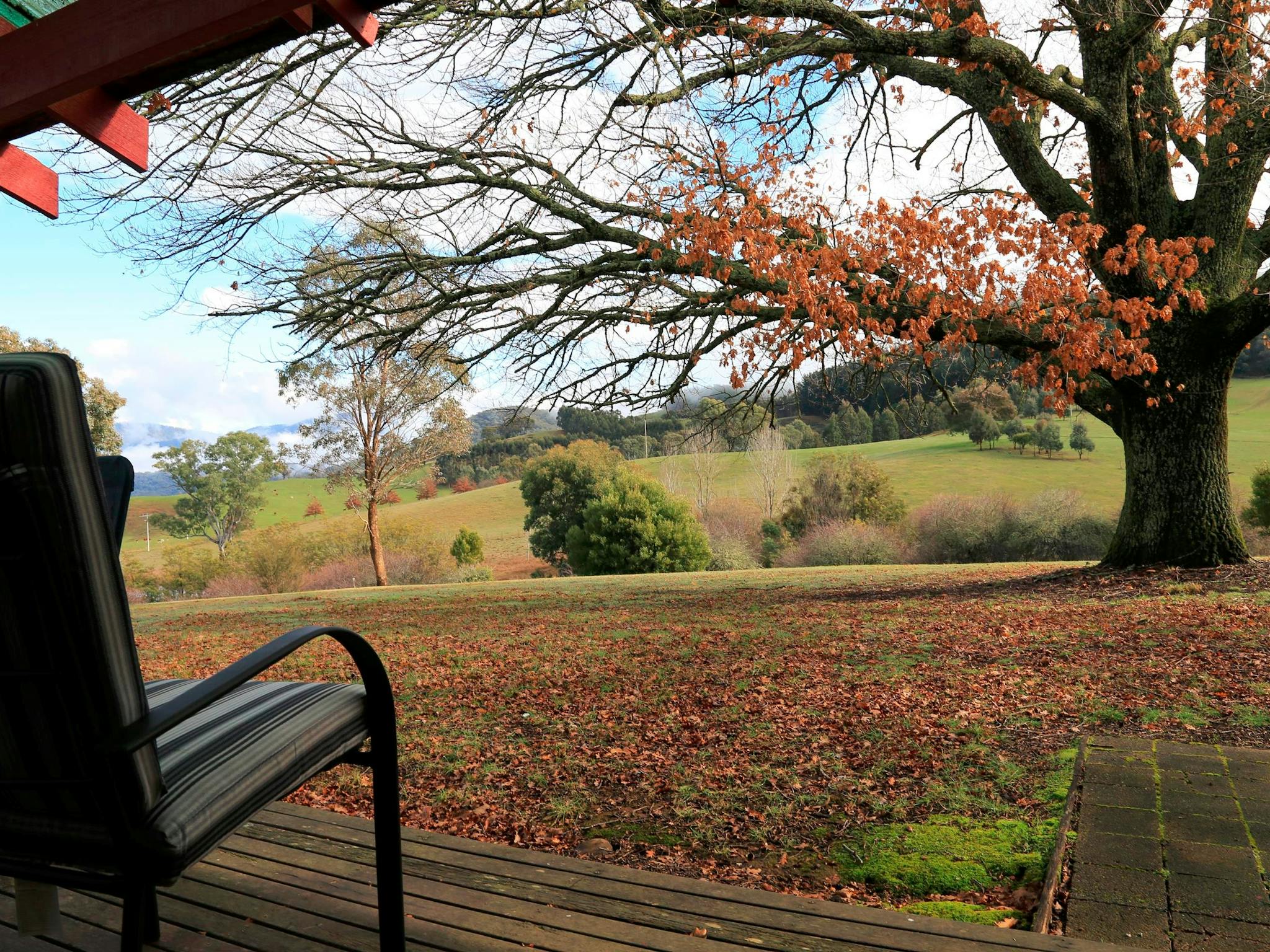 Cottage Camellia with views of rolling hills from the undercover decking.