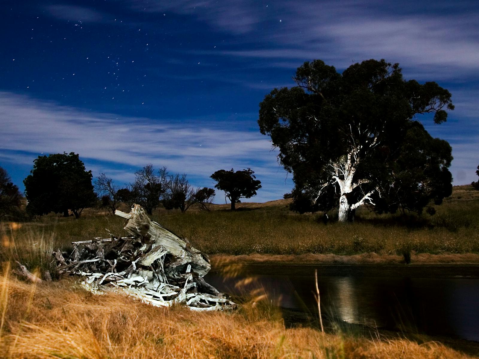 Image for Wired Open Labs: Low Light Photography Workshop