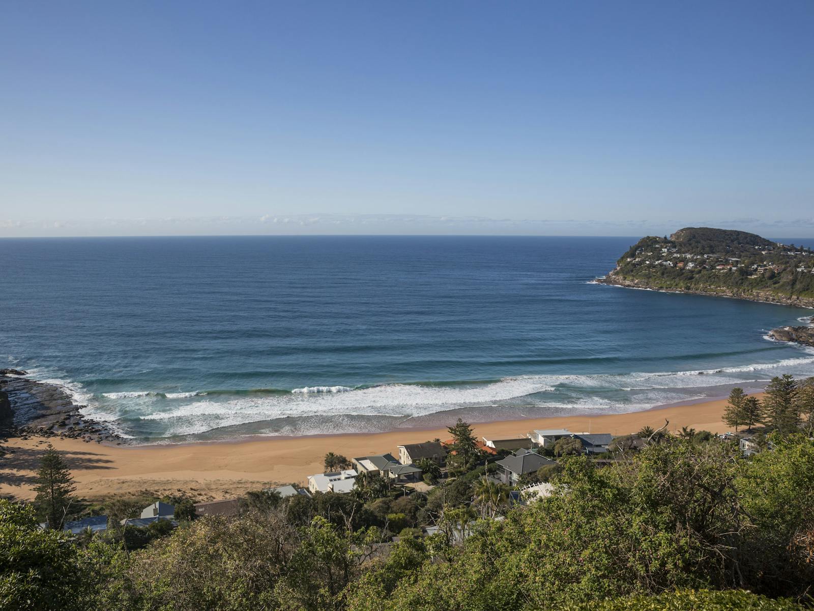 Whale Beach