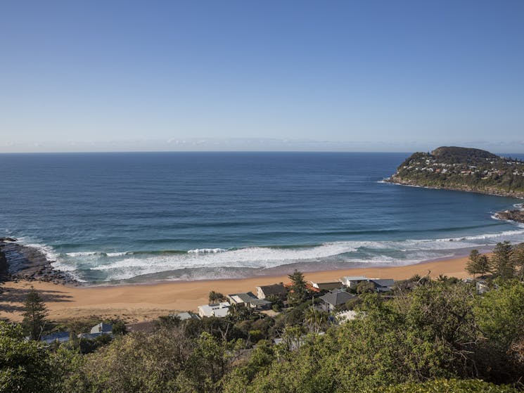 Whale Beach