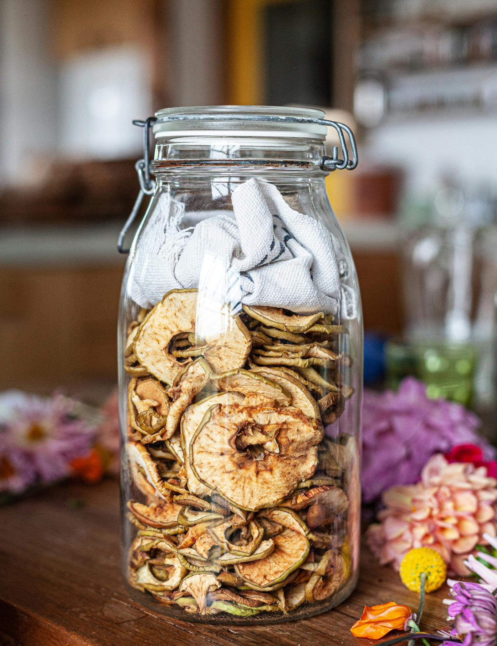Fermenting, Drying and Preserving for Beginners