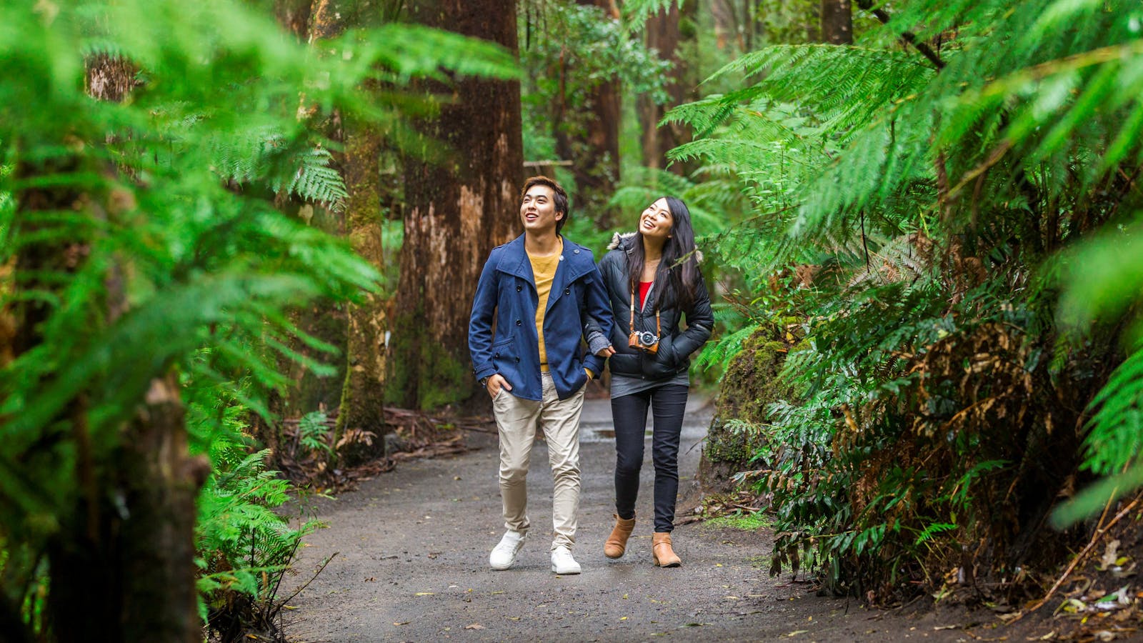 Otway Fly Treetop Adventures
