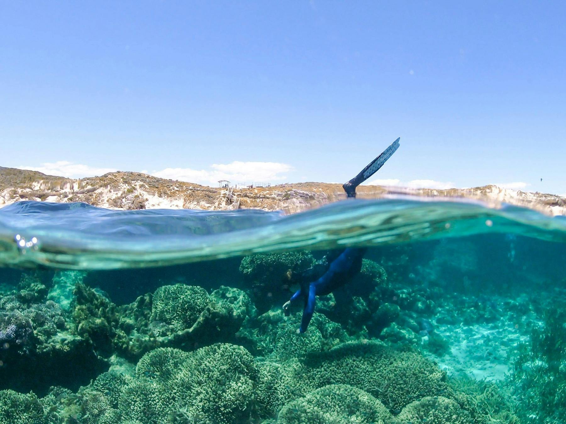 snorkeling dunsborough