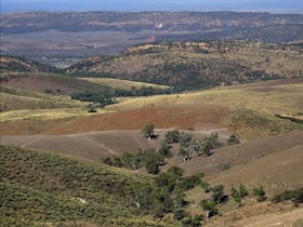 View from Mt Arden, Flinders Ranges