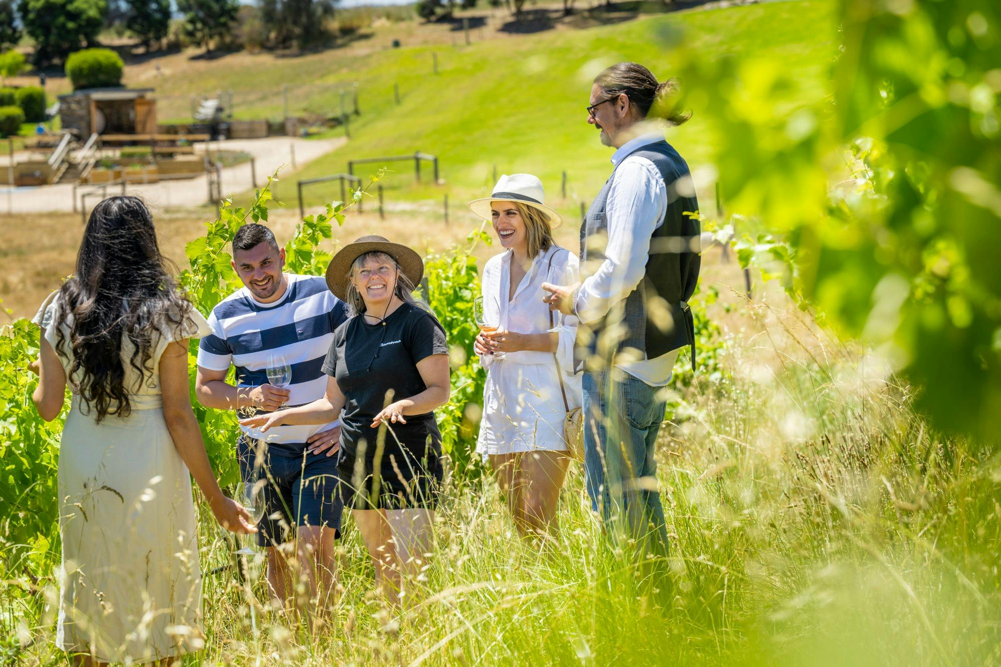 Guests learning about biodynamic grape growing during the Being Biodynamic Tour