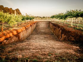 The famous Coonawarra Terra Rossa soil pit at the winery