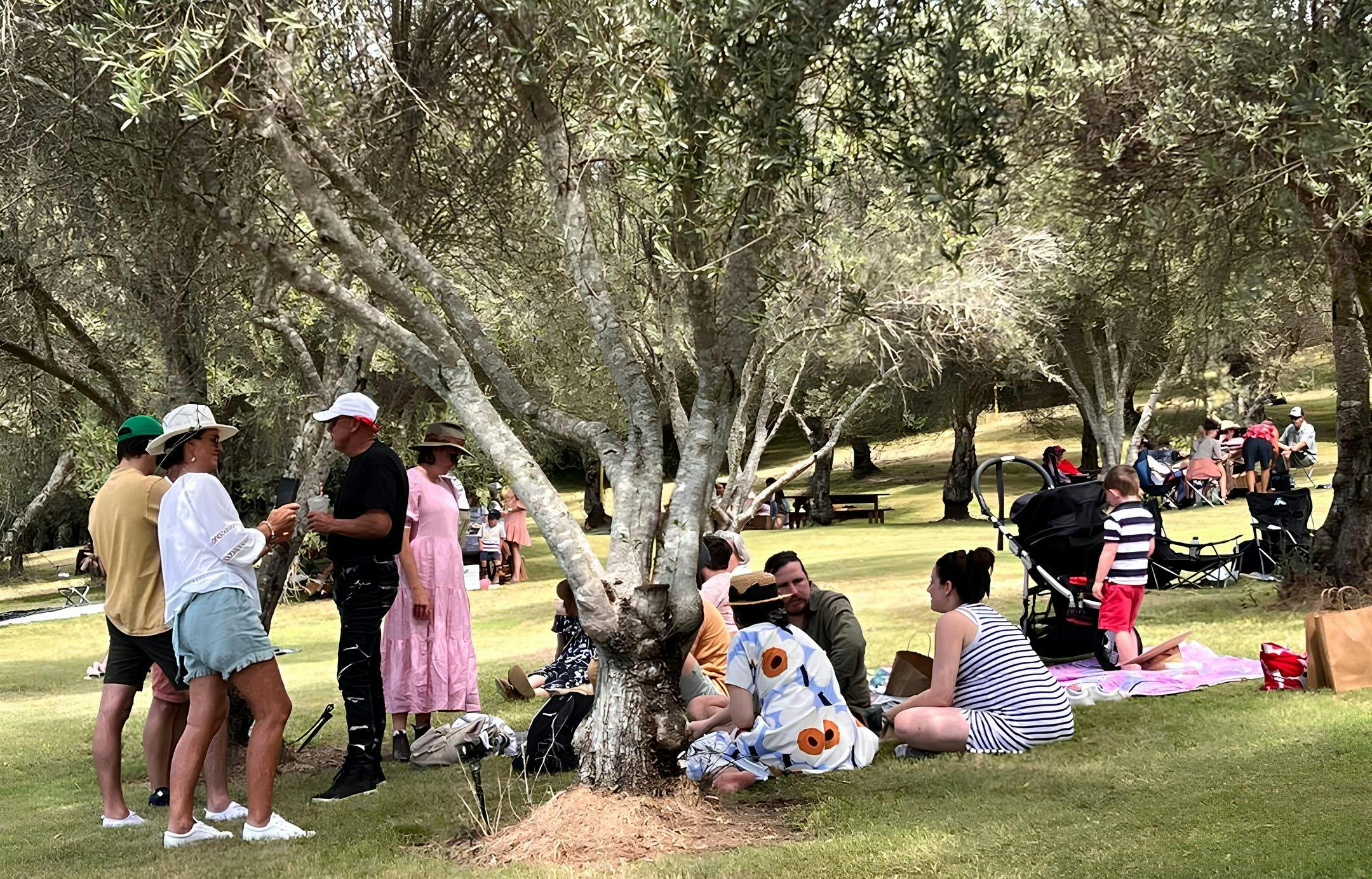 Annual open day picnic goers