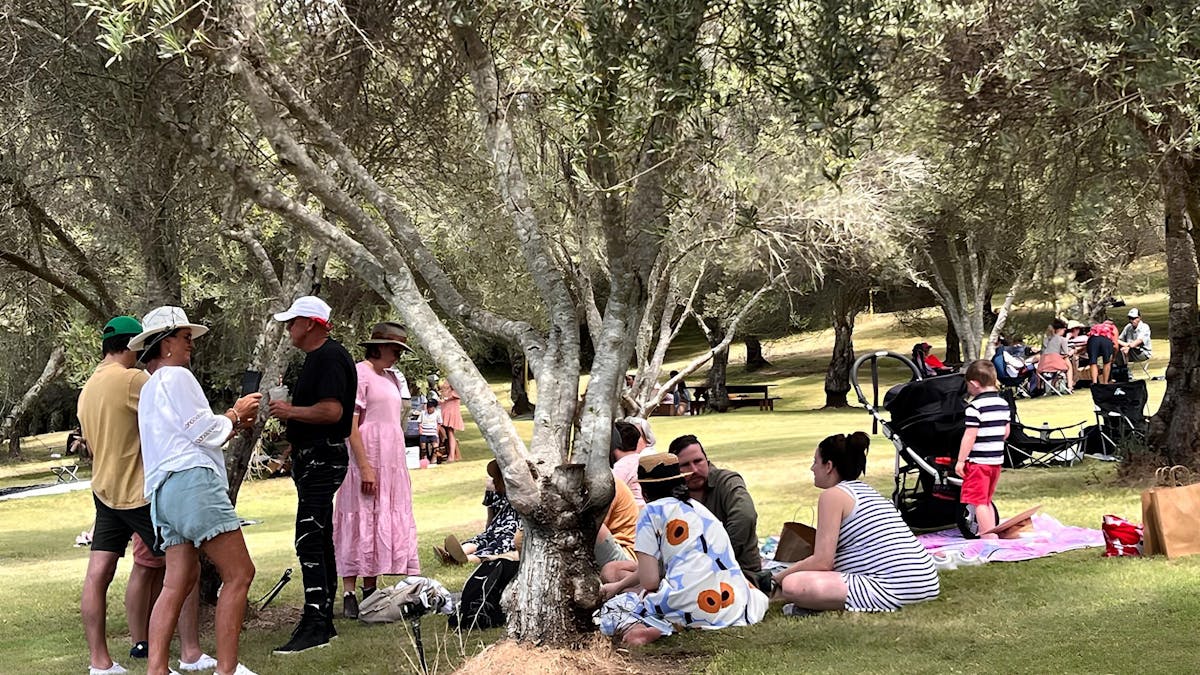 Annual open day picnic goers