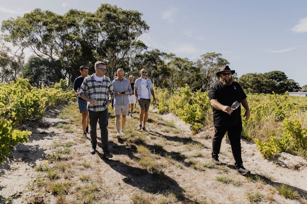Vanguardist Wines