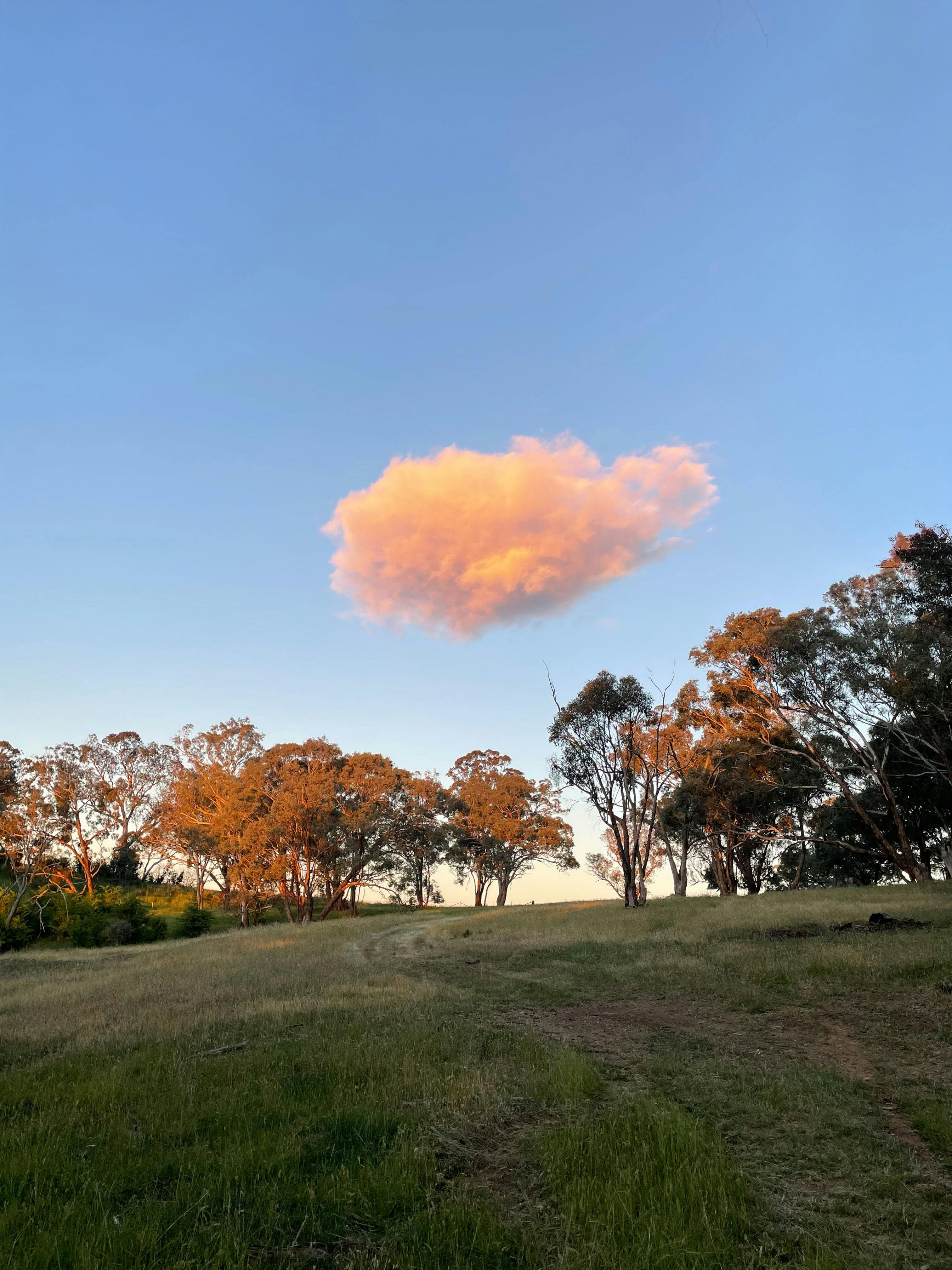 Flora, Fauna and Flight