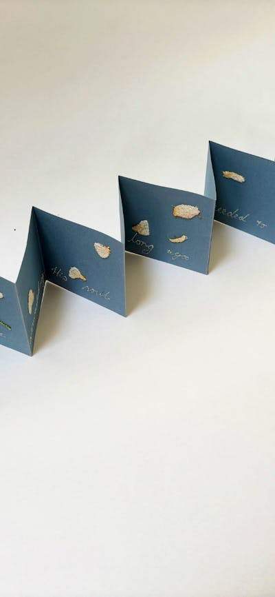 Folded paper material with writing and floral illustrations