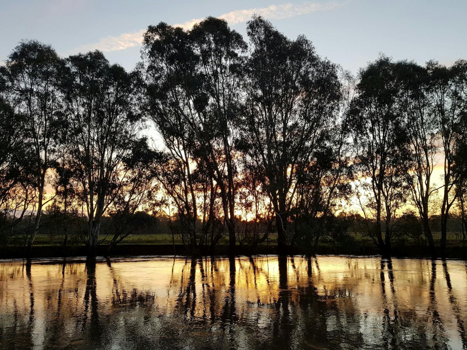 Sunset, looking over billabong with reflections of gum trees overlooking paddocks