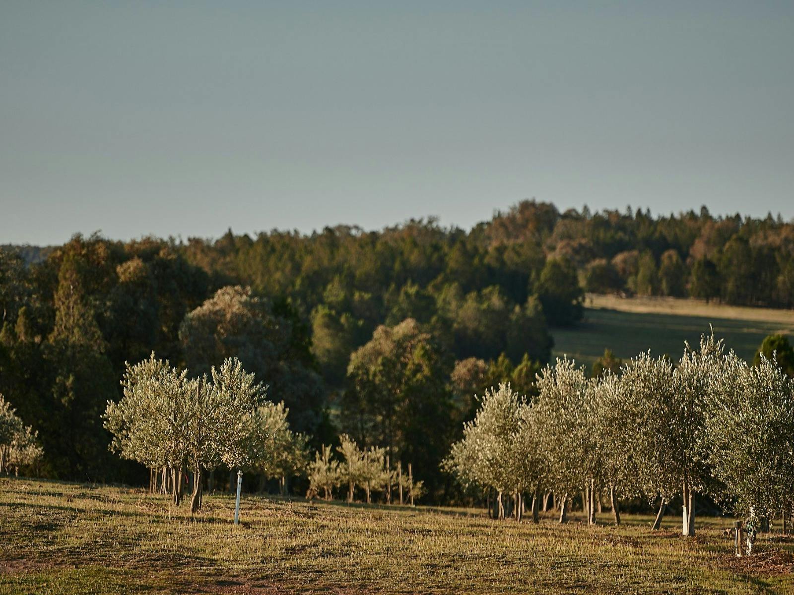 Glen Donald Estate Farm Tour