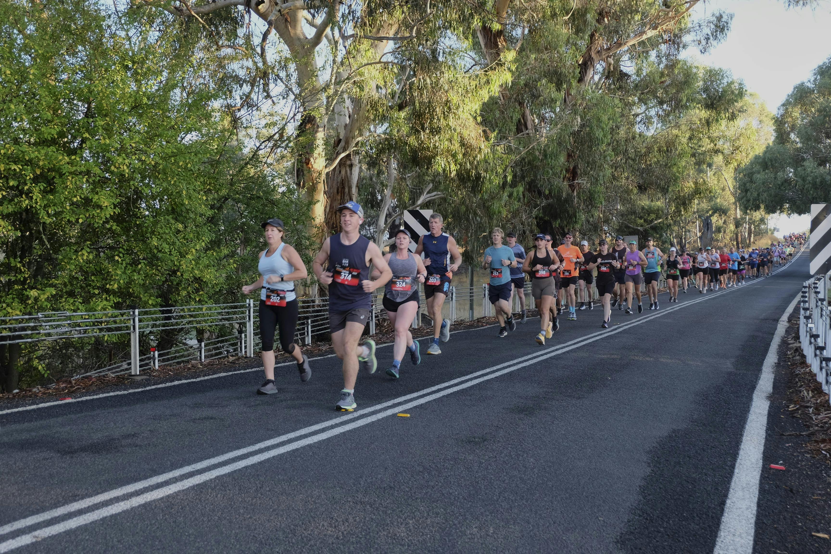 Half marathon runners on a country road near Orange