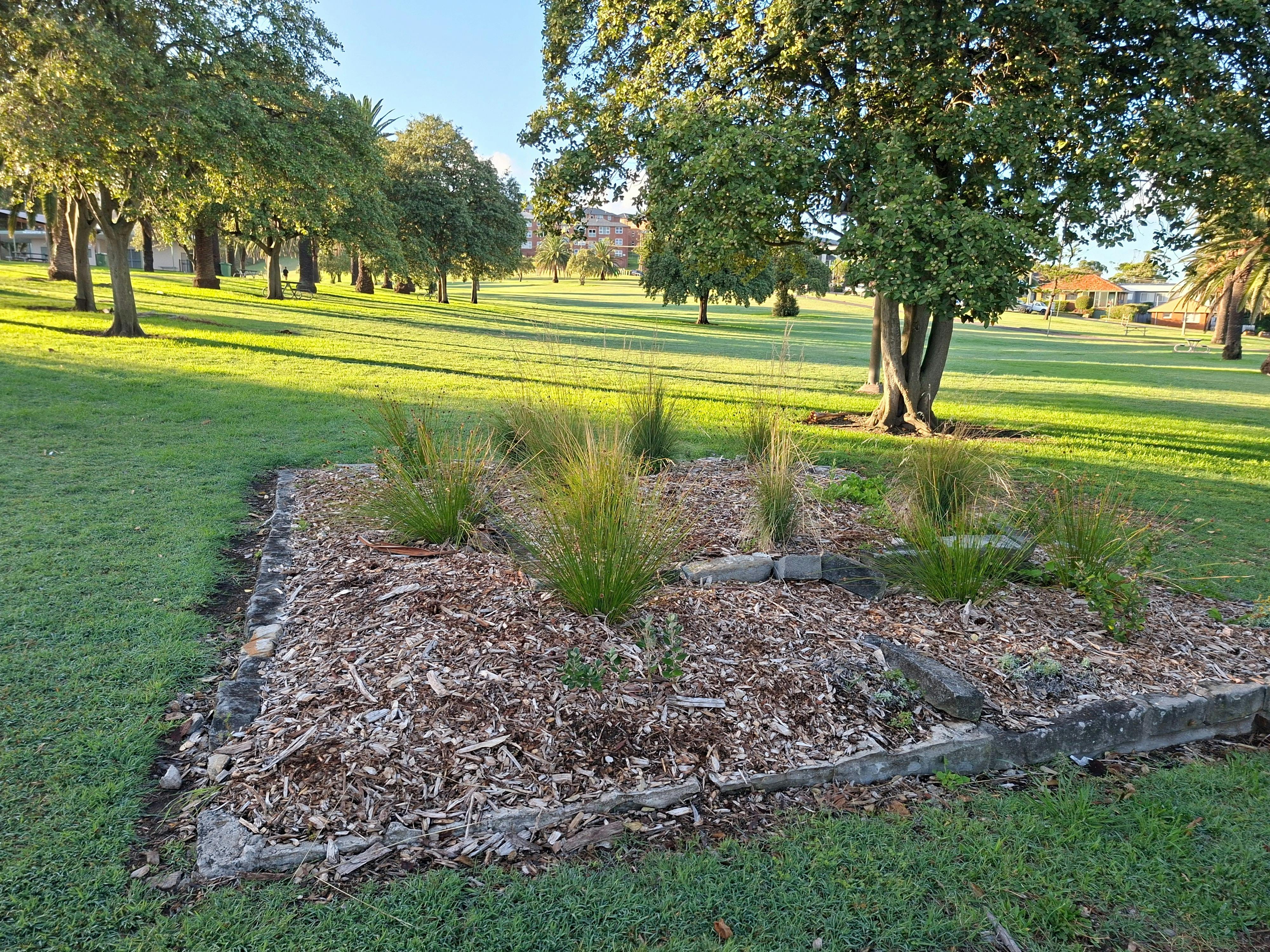 Green Space, Bushland, Flora, Birds