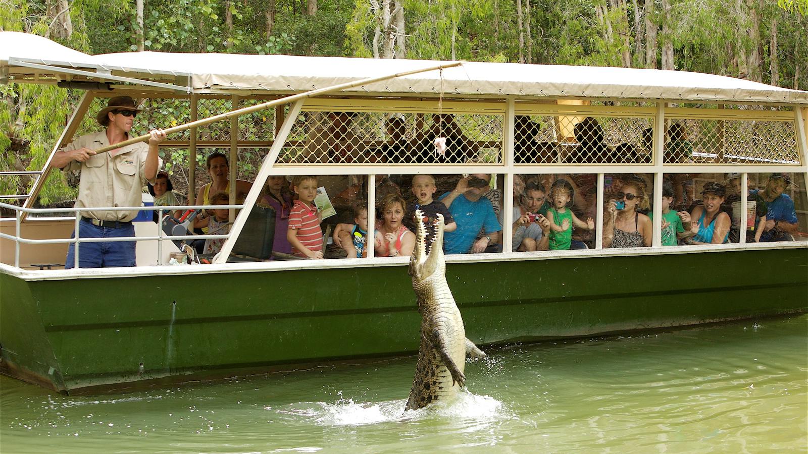 Hartley's Crocodile Adventures