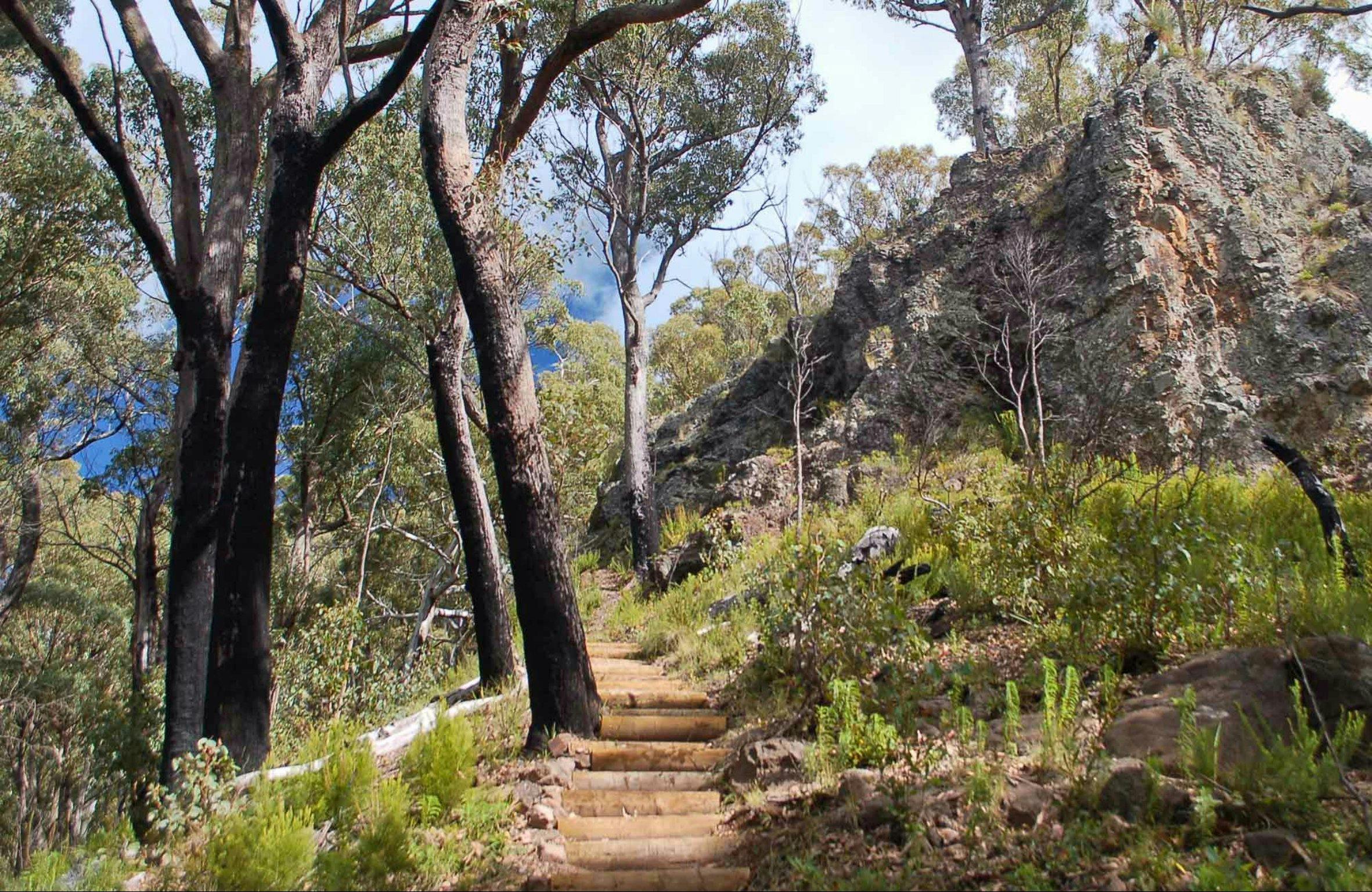 Mount Coryah walking track, Mount Kaputar National Park. Photo: Ian Smith