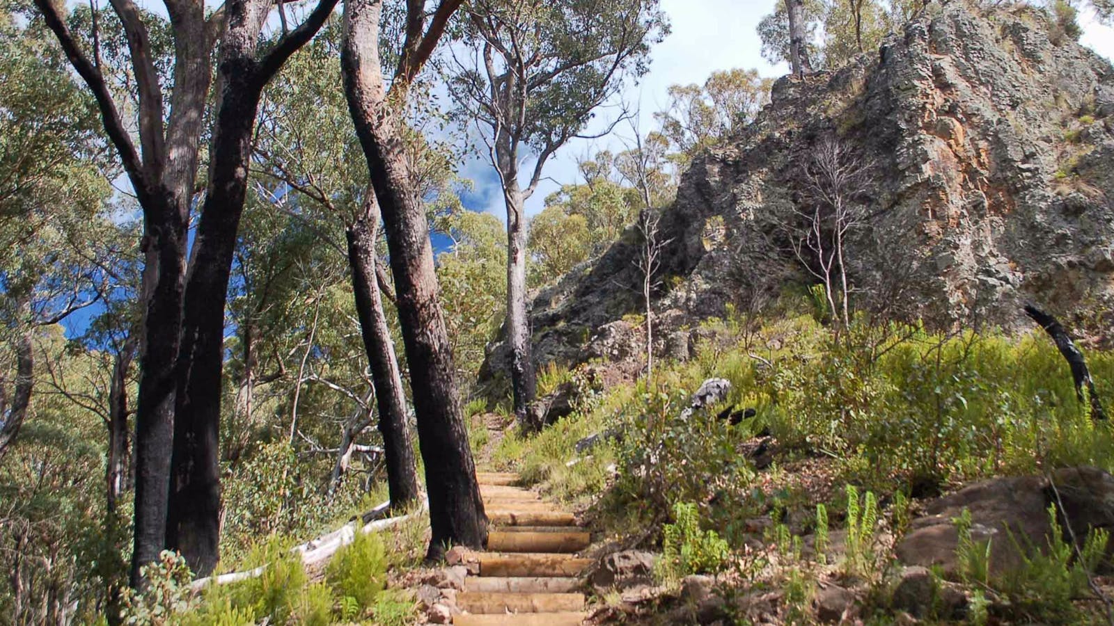Mount Coryah Walking Track