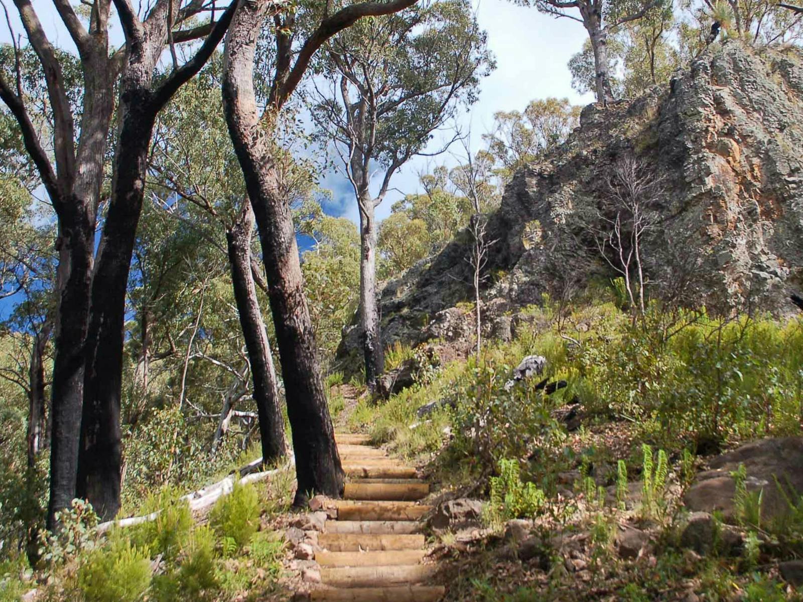 Mount Coryah Wanderweg, Mount Kaputar National Park. Foto: Ian Smith