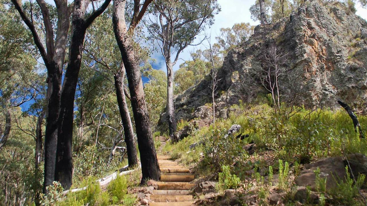 Mount Coryah Walking Track