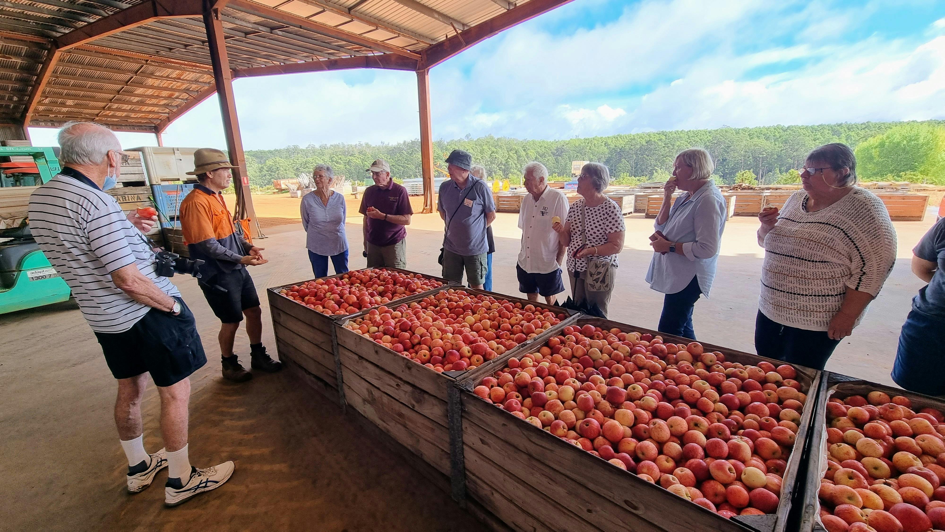 A group with crates of Royal Gala Apples