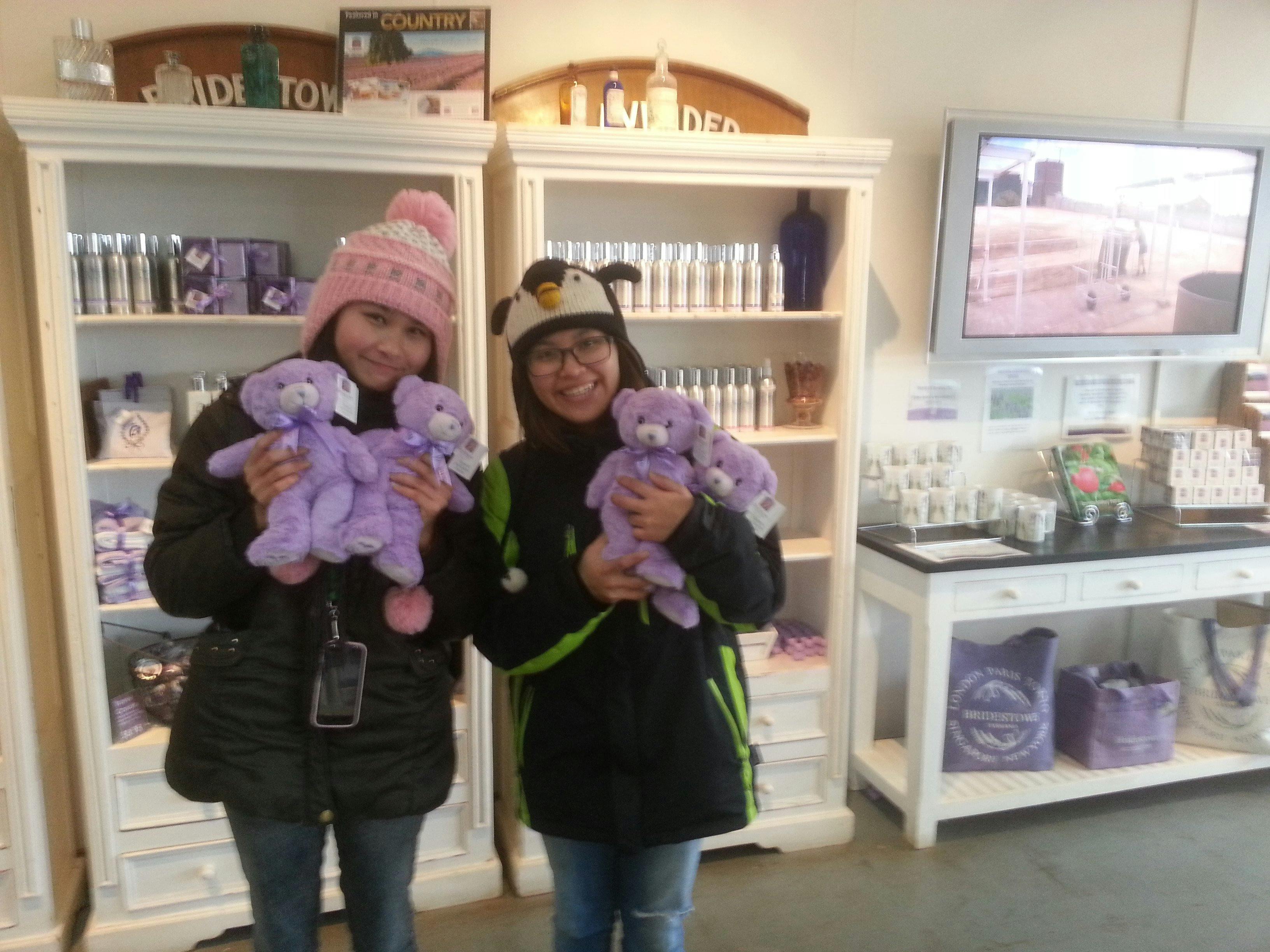 Bridestowe Lavender Farm