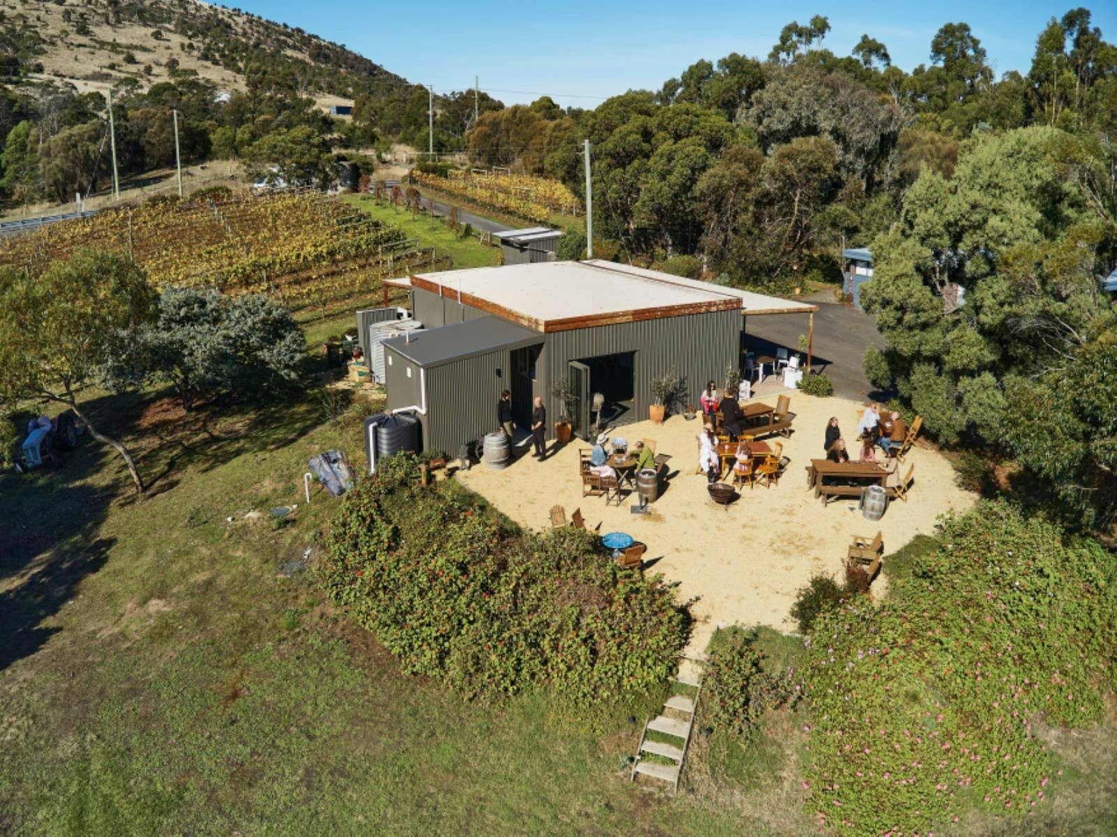 Every Man and His Dog Vineyard and Court Yard