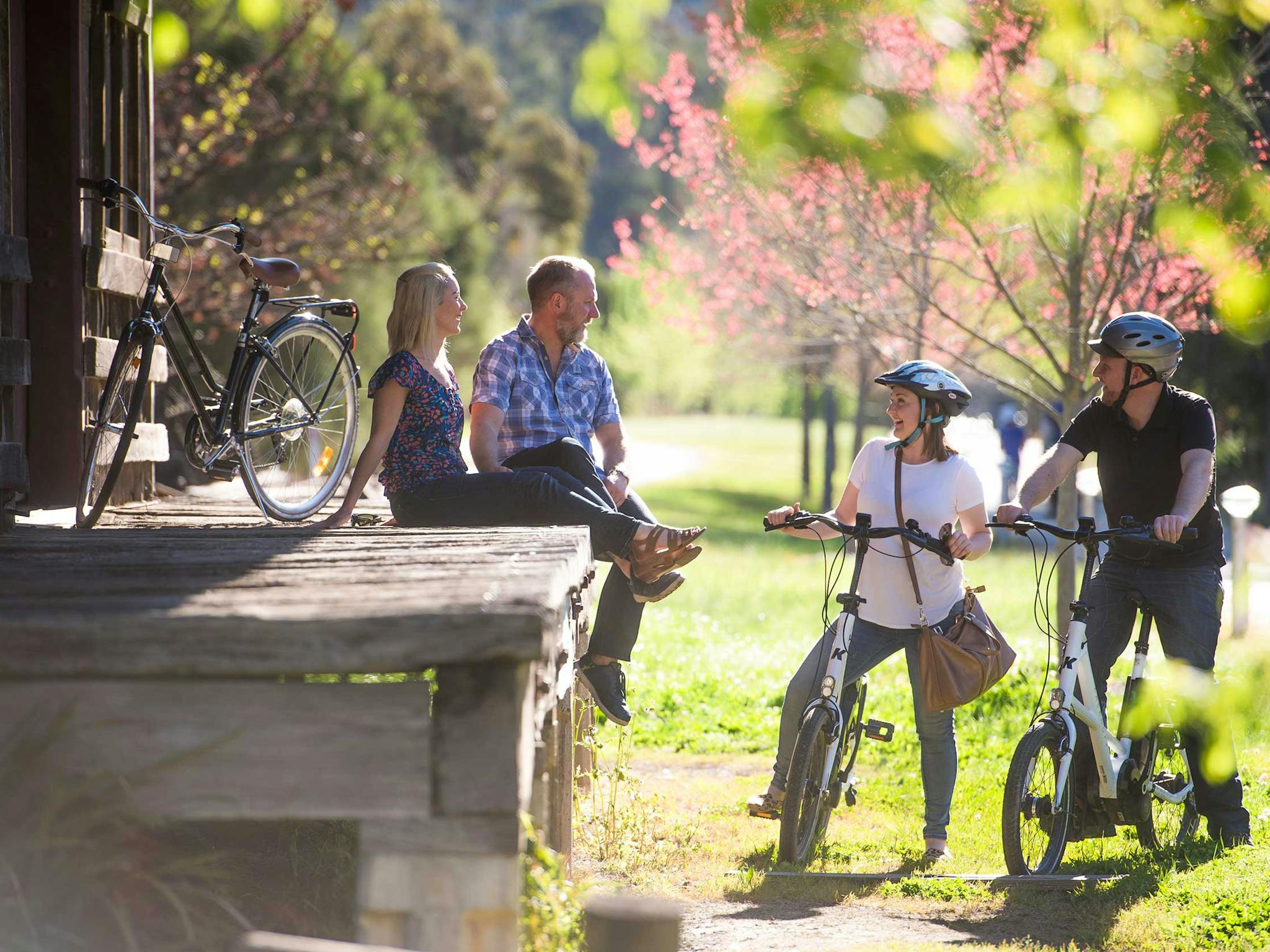 Riding the Murray to Mountains Rail Trail