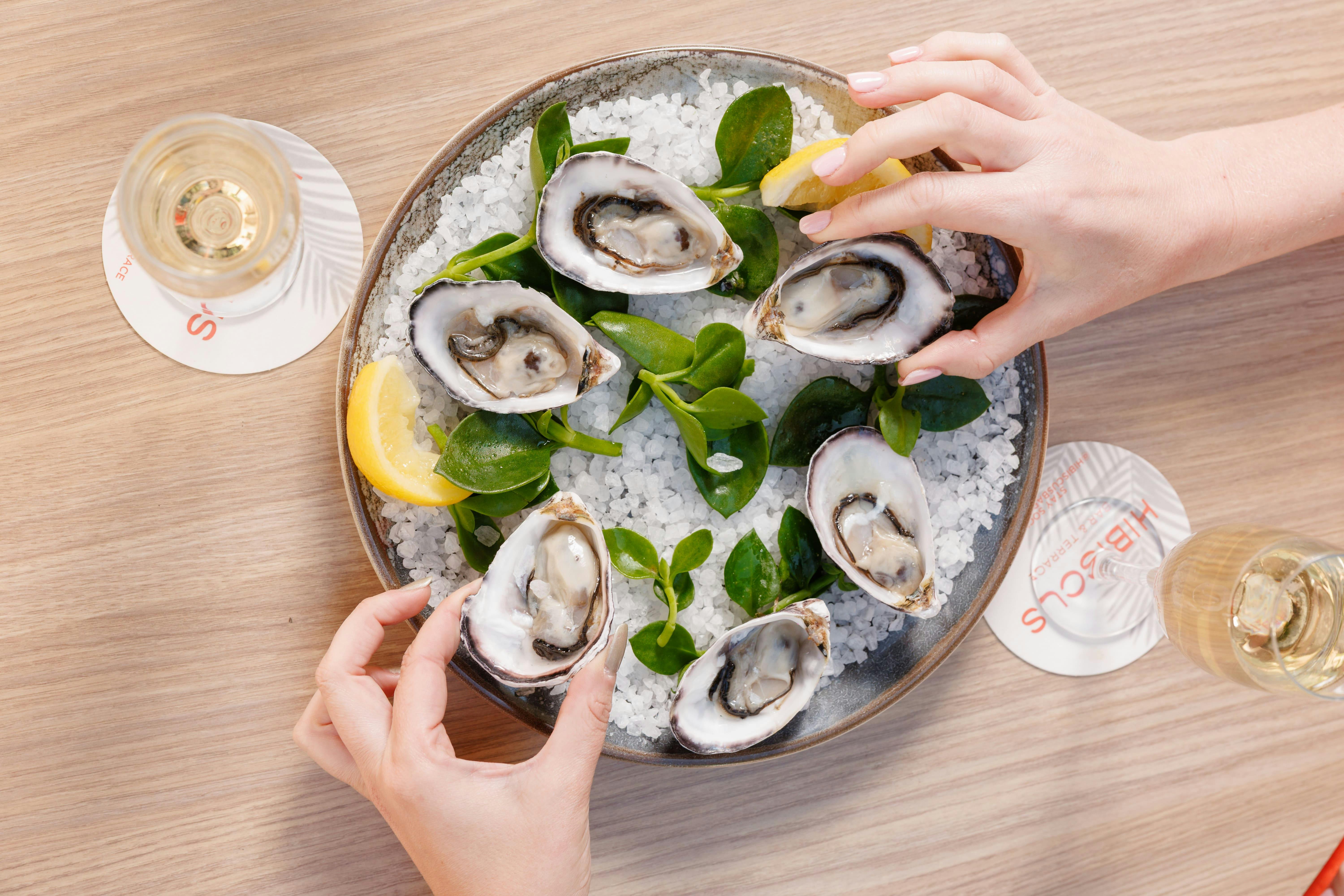 Shuck & Sip Wednesday