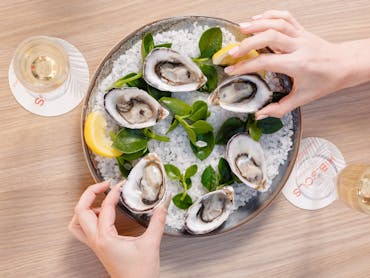 Six Oysters on a plate and two glasses of wine. At Hibiscus Bar & Terrace - Queen Street Mall, QLD