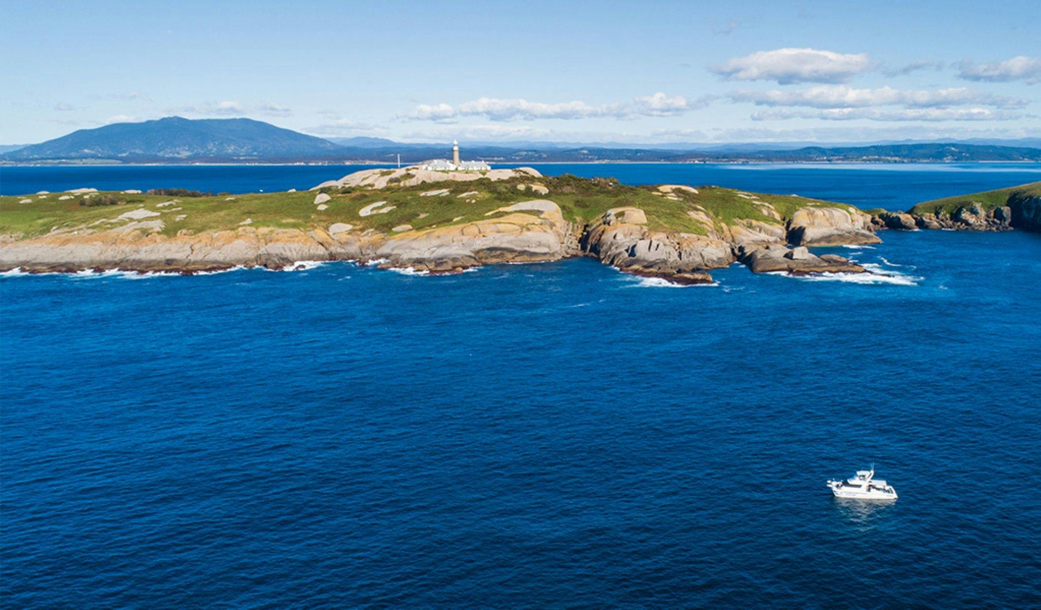Barunguba Montague Island and lighthouse tour