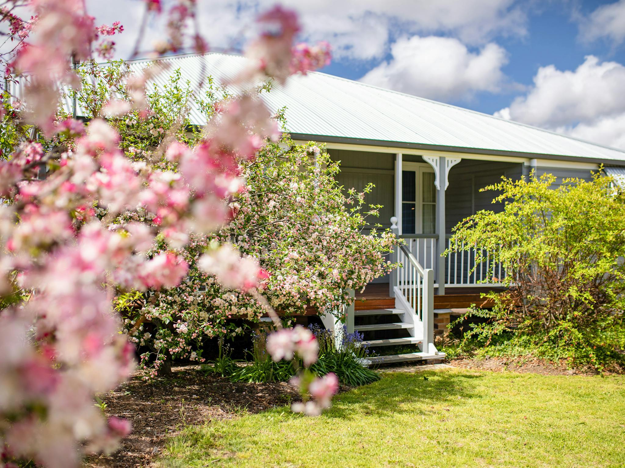 Apple Blossom Cottage - Front Apple Blossom Cottage - Front