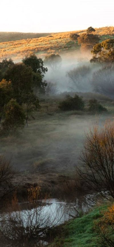 The Barn at Nguurruu