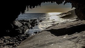 Wildlife and wild coasts - long-nosed fur-seals at Admirals Arch