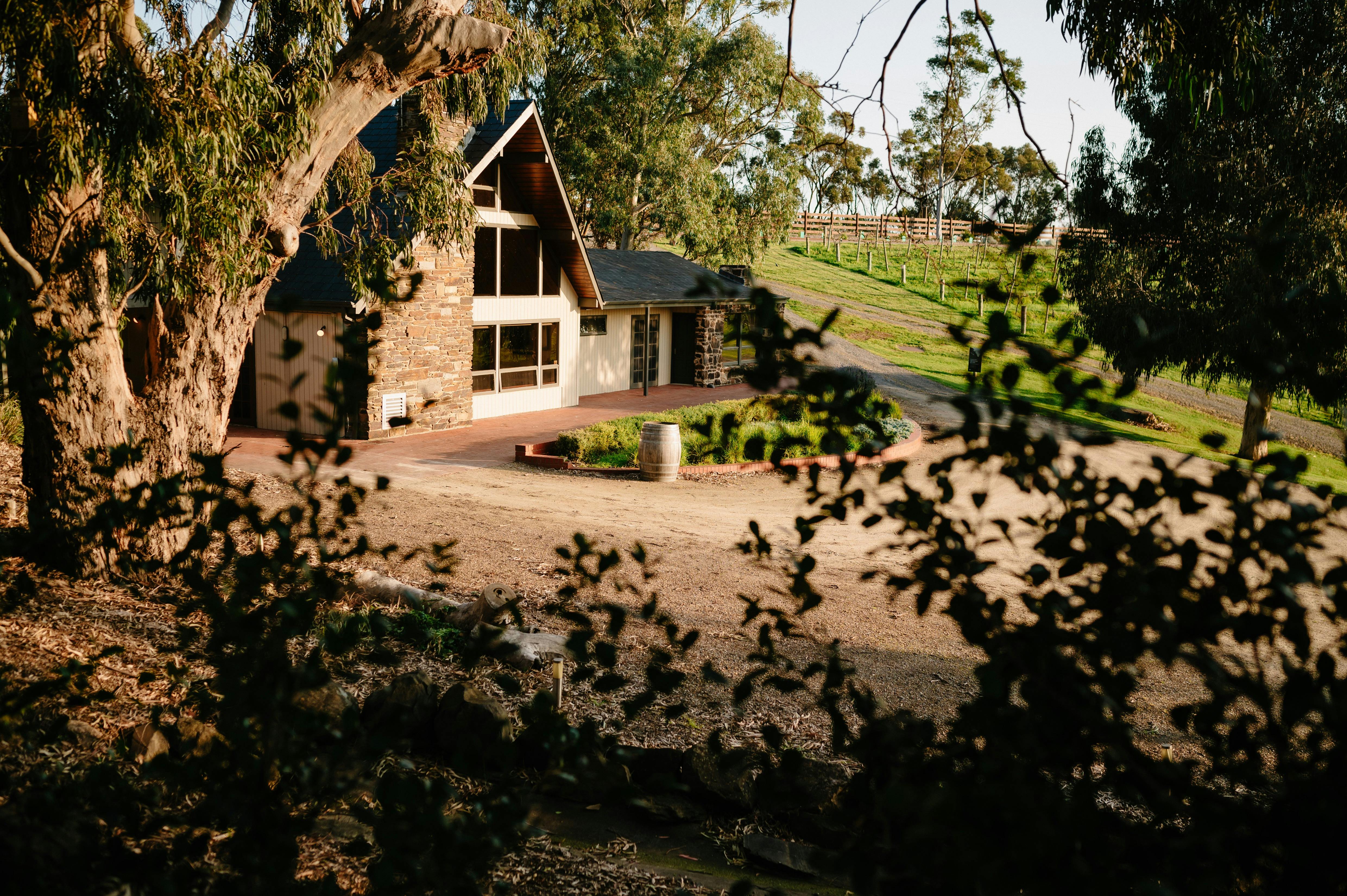 The stone Guest House at Chapel Hill, with  wall of windows looking out to the vineyard