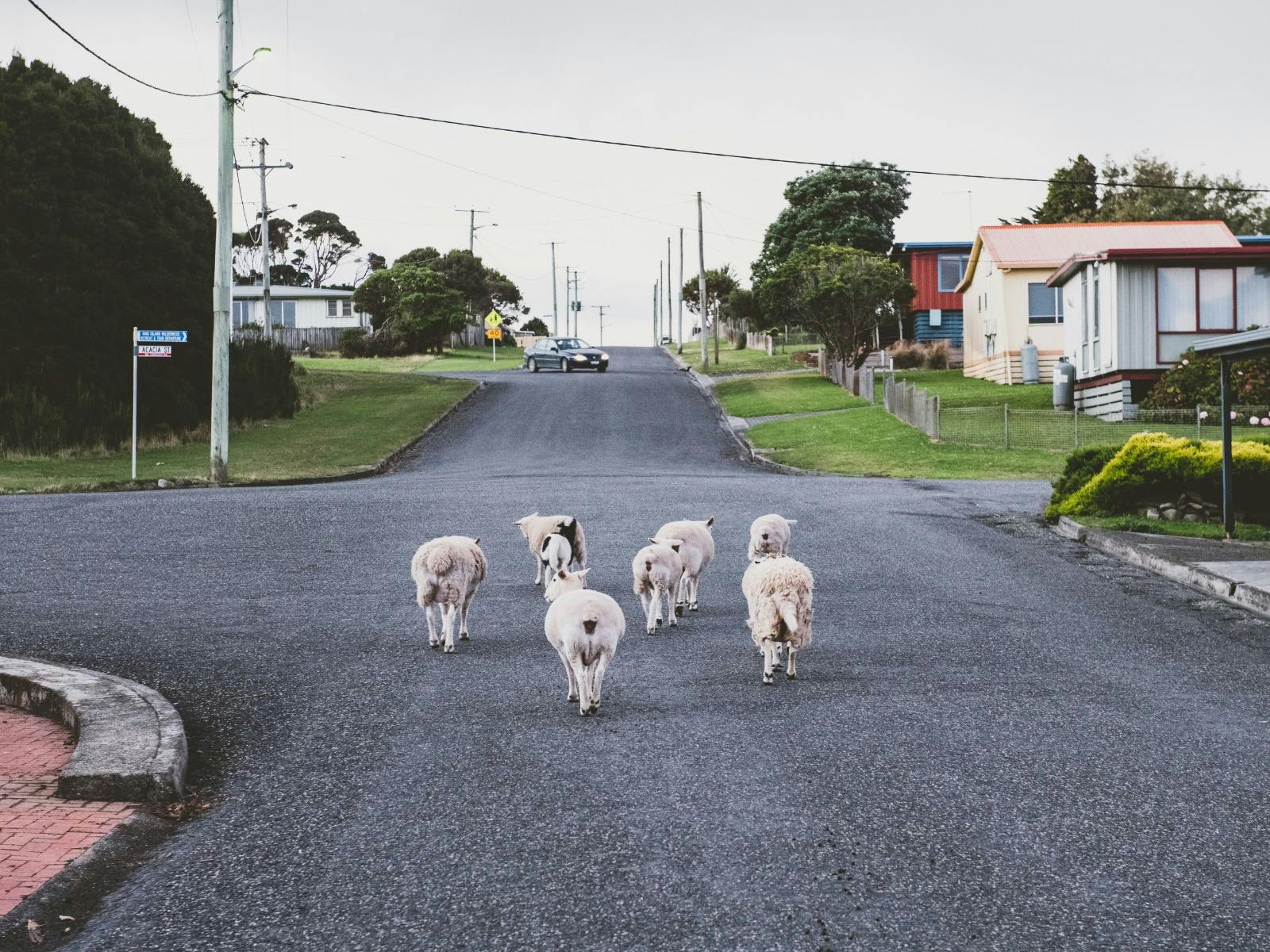 Grassy, King Island